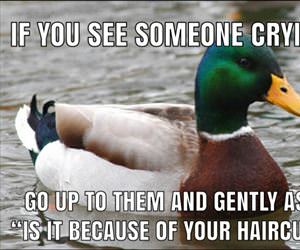 if-you-see-someone-crying