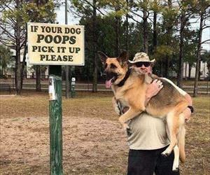 if your dog poops