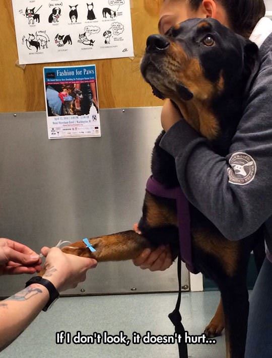 if i dont look funny picture