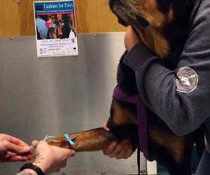 if i dont look funny picture