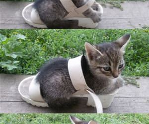 if i fits funny picture
