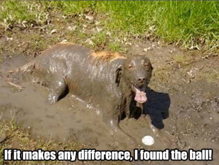 if it makes a difference funny picture