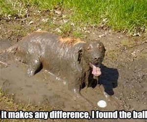 if it makes a difference funny picture