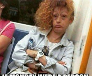 if monday were a person funny picture