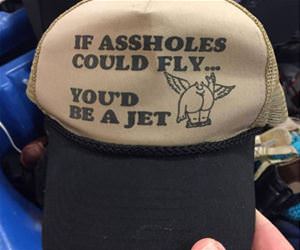 if they could fly funny picture