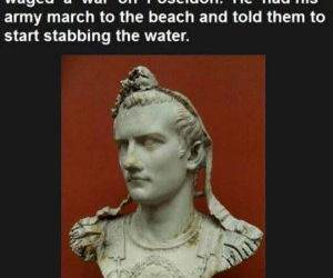 if you ever feel stupid funny picture