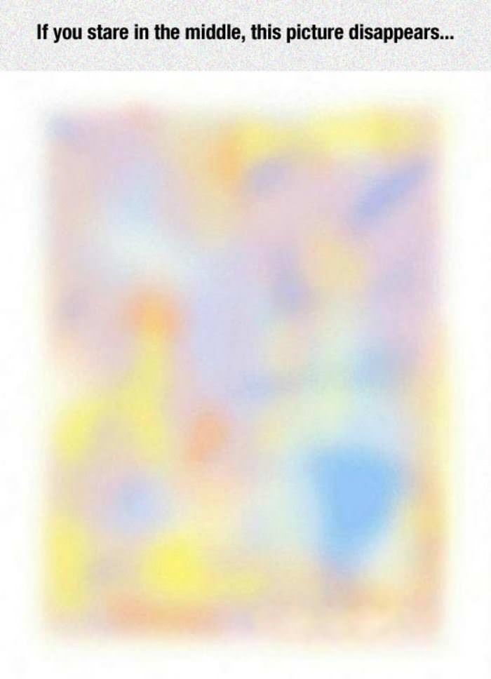 if you stare funny picture