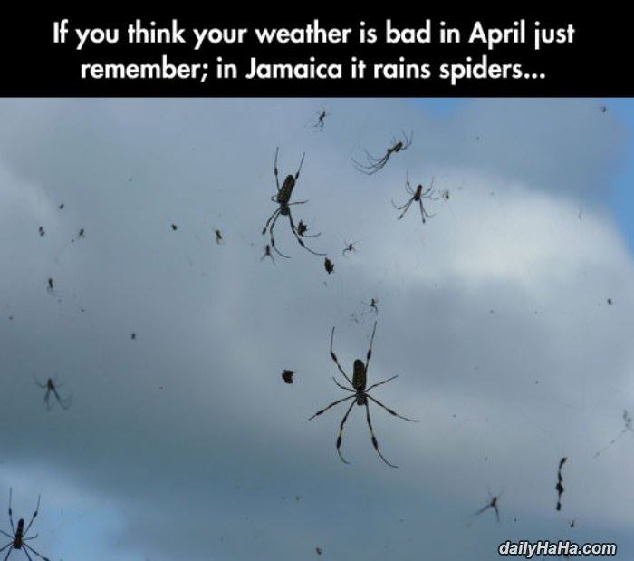 if you think its bad funny picture