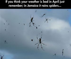 if you think its bad funny picture