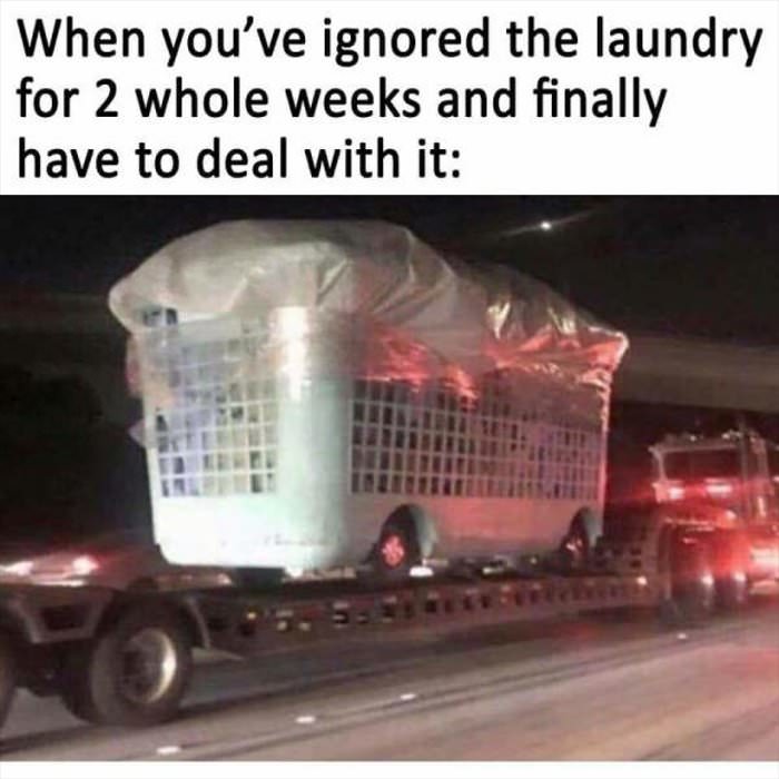 ignored the laundry for 2 weeks