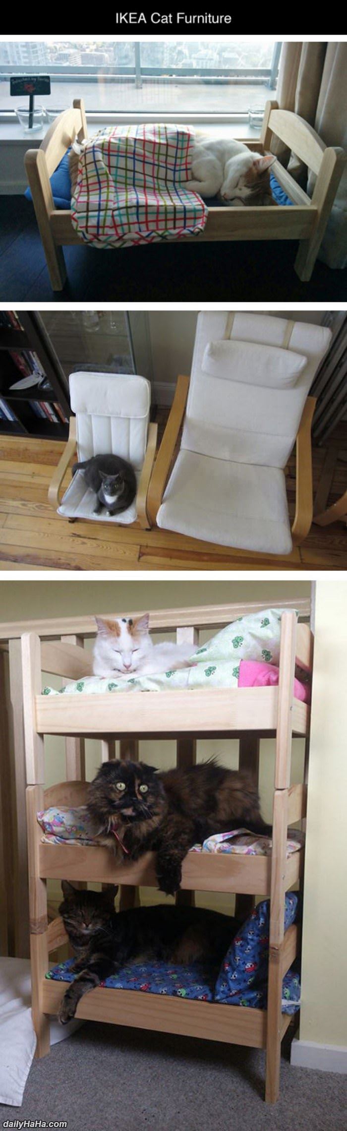 ikea cat furniture funny picture