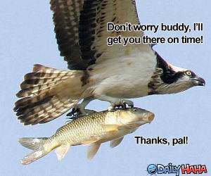 I Will Get You There funny picture