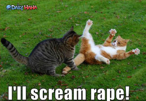 Ill Scream Cat Funny PIcture