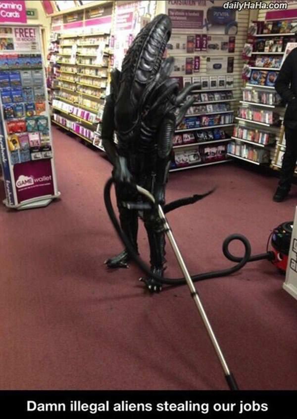 illegals funny picture