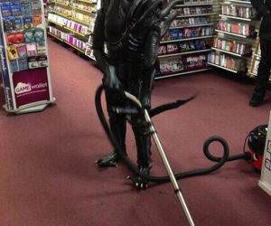 illegals funny picture