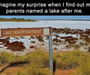 imagine my surprise funny picture