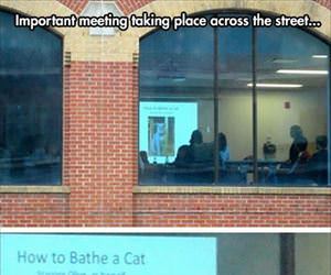 important meeting taking place