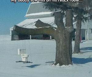 Very Impressive Swing funny picture