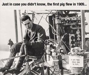 in case you did not know