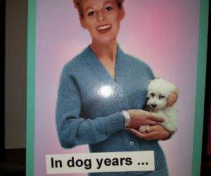 In Dog Years funny picture