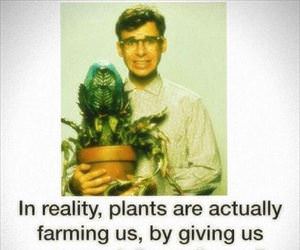in reality plants farm us