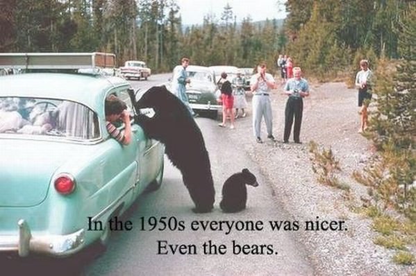 Back in The 1950s Funny Picture