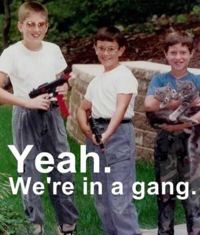 in a gang funny picture