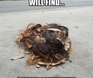 in the ghetto funny picture