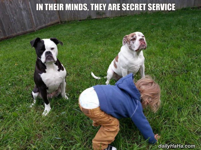 in their minds funny picture