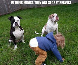 in their minds funny picture