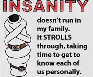 insanity funny picture