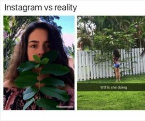 instagram vs reality