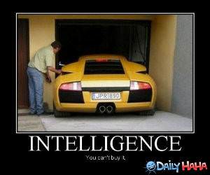 Intelligence funny picture