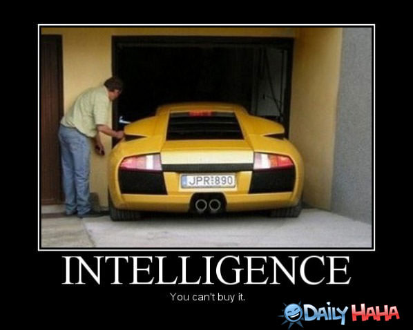 Intelligence funny picture