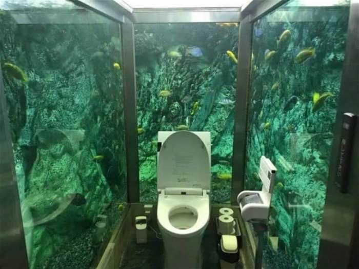 interesting place to poop