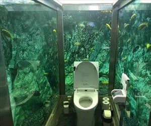 interesting place to poop