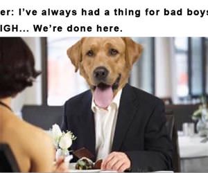 into bad boys funny picture