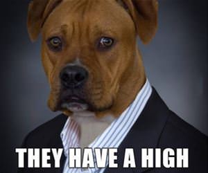 invest in tennis balls funny picture