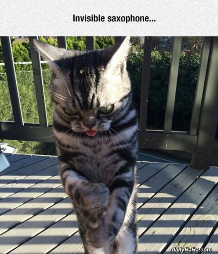 invisible saxophone  funny picture