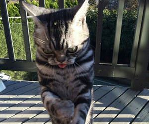 invisible saxophone  funny picture