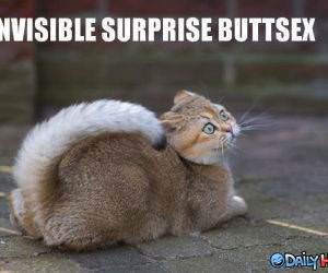Invisible Surprise Buttsecks