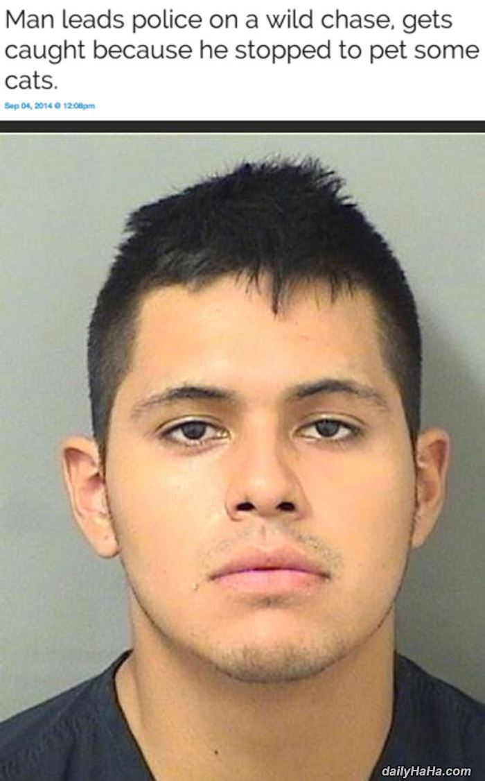 irresistible funny picture