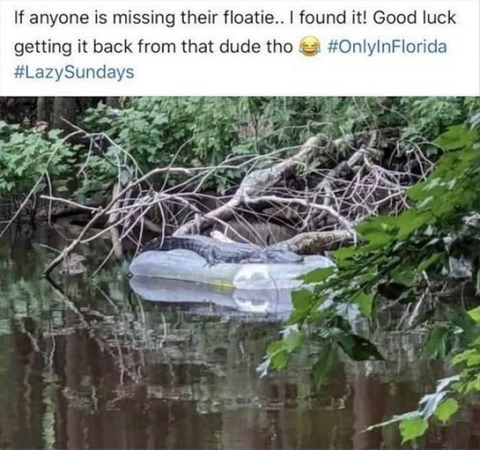 is anyone missing their floatie