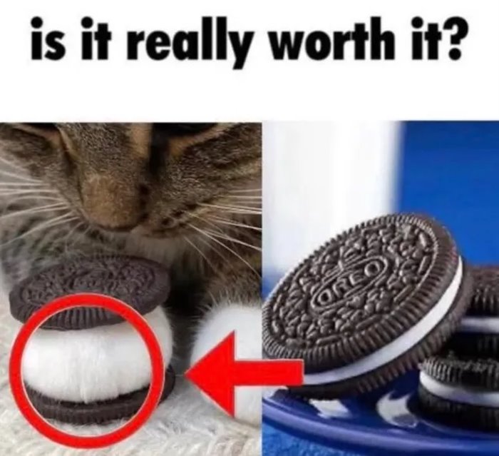 is it worth it ... 2