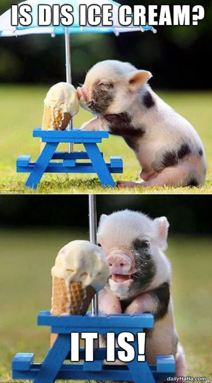 is dis ice cream funny picture