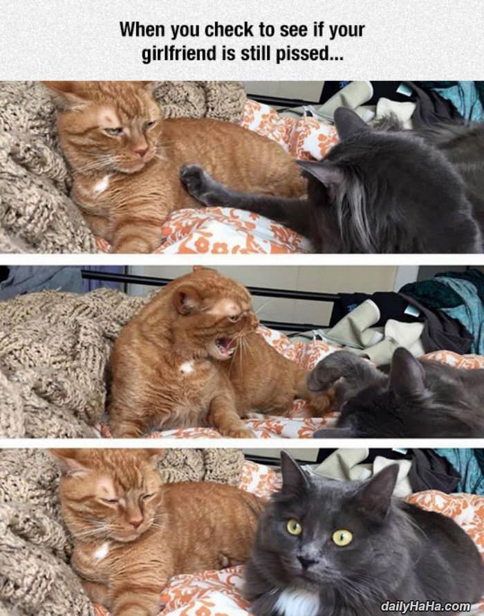 is gf pissed funny picture