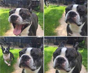 is that max again funny picture