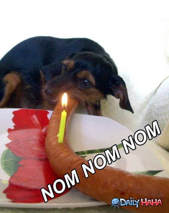 Birthday Nom funny picture