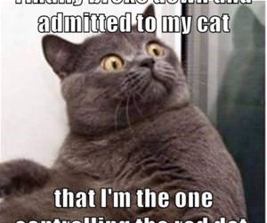 it was you funny picture