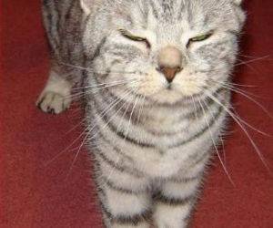 Its Blinding funny picture